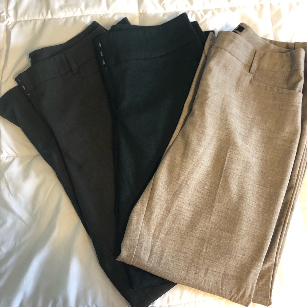 Dress Pants